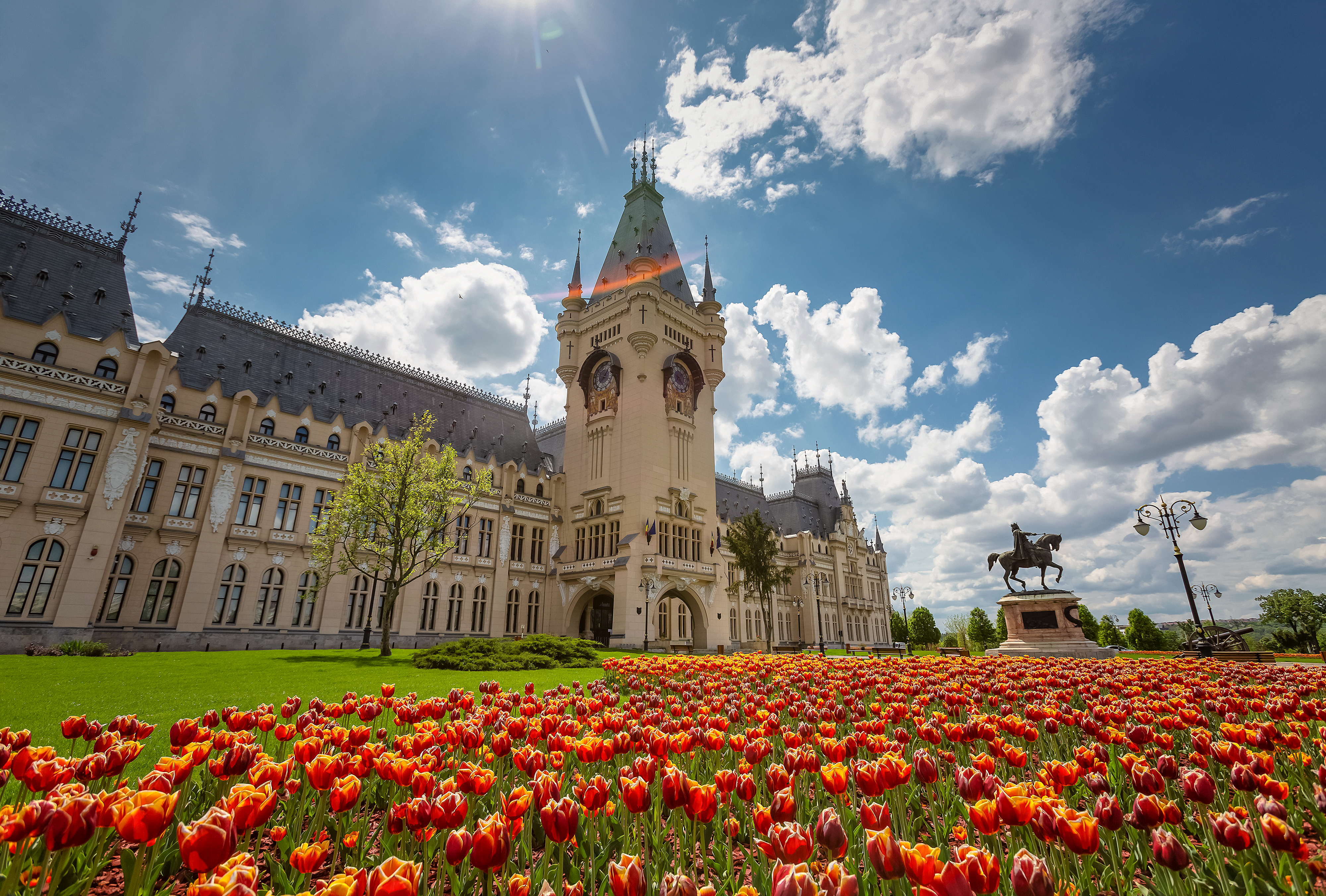 iasi